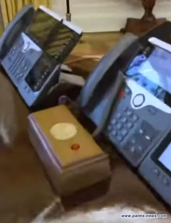 خلال لقاء تلفزيوني... ترمب يضغط زر «نهاية العالم النووي» الأحمر لطلب «الكوكاكولا»